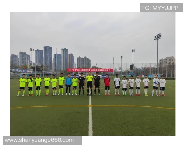 武汉足球队实力飙升创历史新高引发全国关注与期待